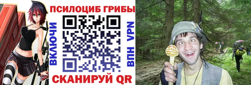 как найти наркотики  Мостовской  Галлюциногенные грибы прущие грибы 